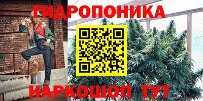 ECSTASY Кулебаки