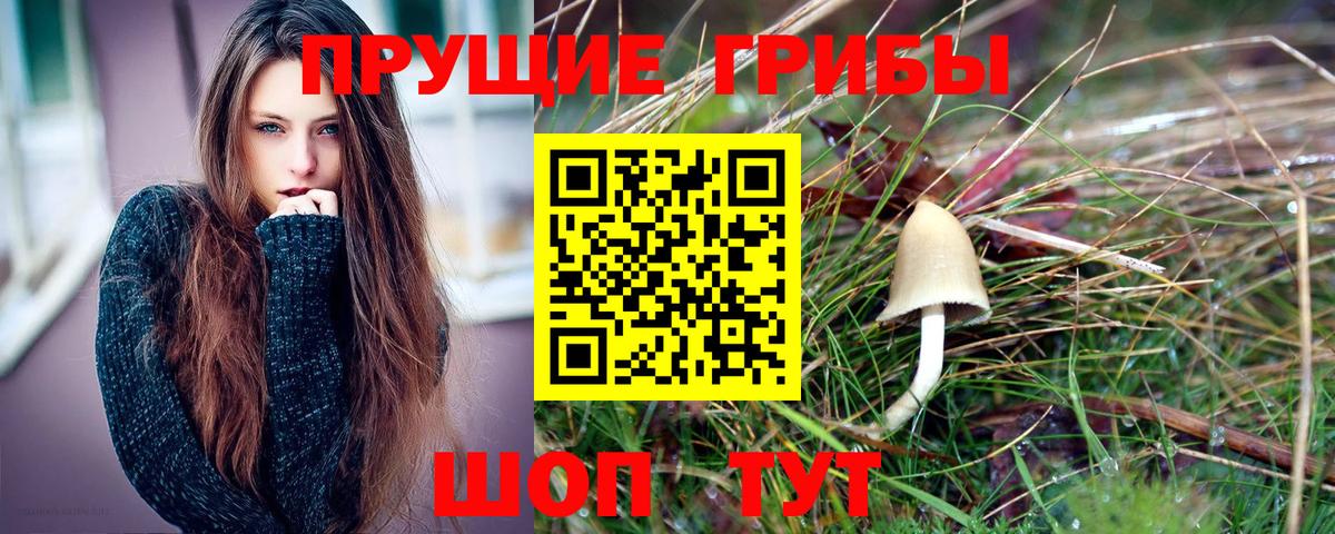 Верхняя Салда  Галлюциногенные грибы Cubensis  Вход с VPN 